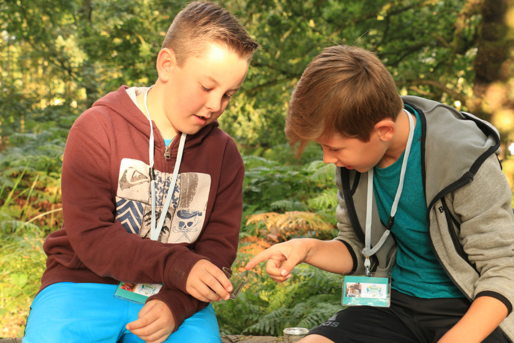 Two teenage lads looking at insects